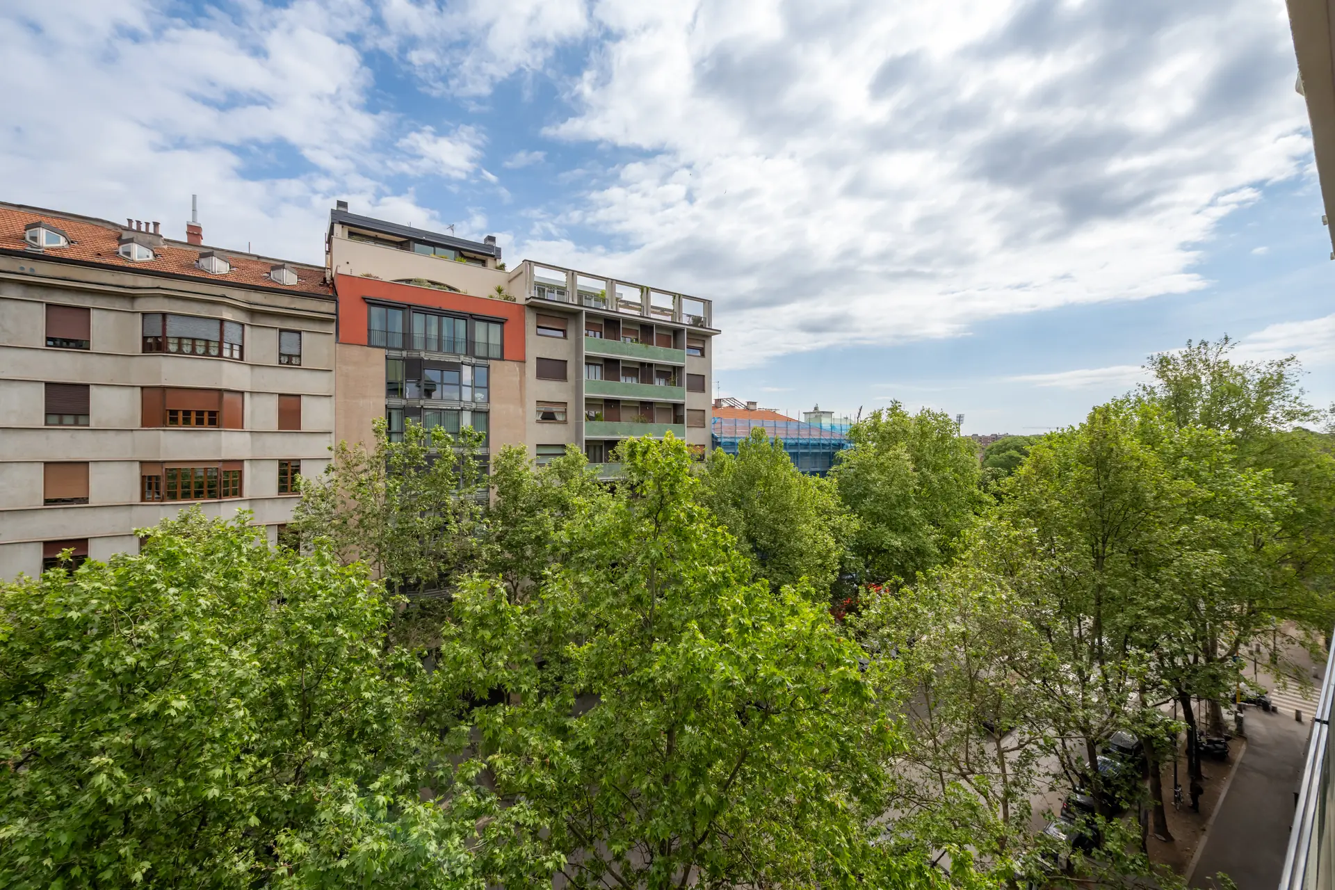 Vista dal balcone sui platani di Via Melzi d'Eril Milano zona Sempione